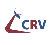 CRV banner