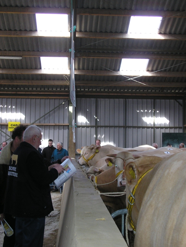 BAC-veiling verschoven van 26 maart naar 2 april 2011