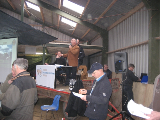 COT-stierenveiling op 2 april a.s.