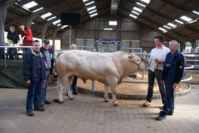 Veilingtopper BAC Ernst met fokkers Henk en Johan Betting en nieuwe eigenaren gebr. Lamers  