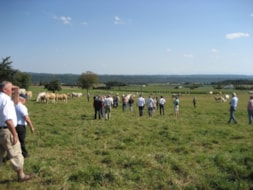Blondefokkers op excursie in Frankrijk