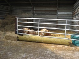 wachten op het transport