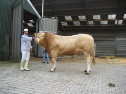 BAC Eros met medewerker van de heer Beerman
