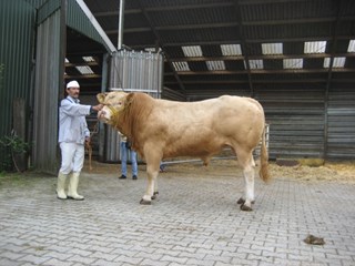 BAC Eros met medewerker van de heer Beerman