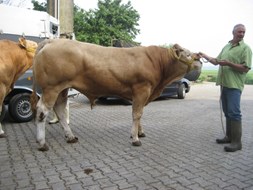 ook BAC Fortuin ging mee