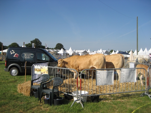 Blondes op de Farm & Country Fair in Aalten