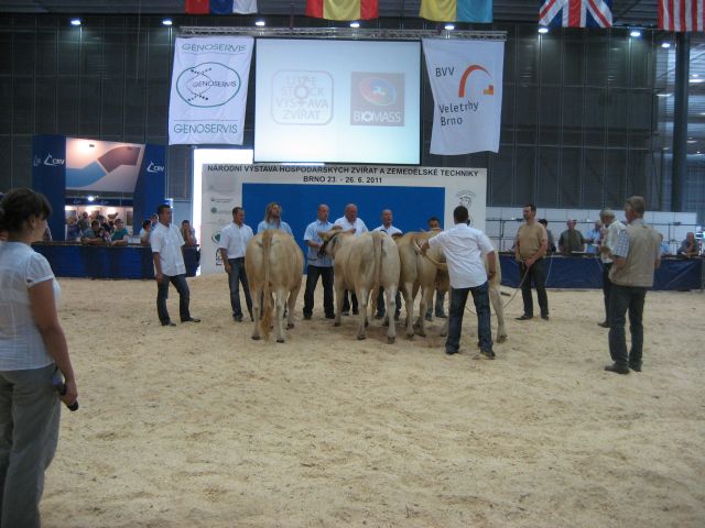 Fierba leden vergaderen in Brno