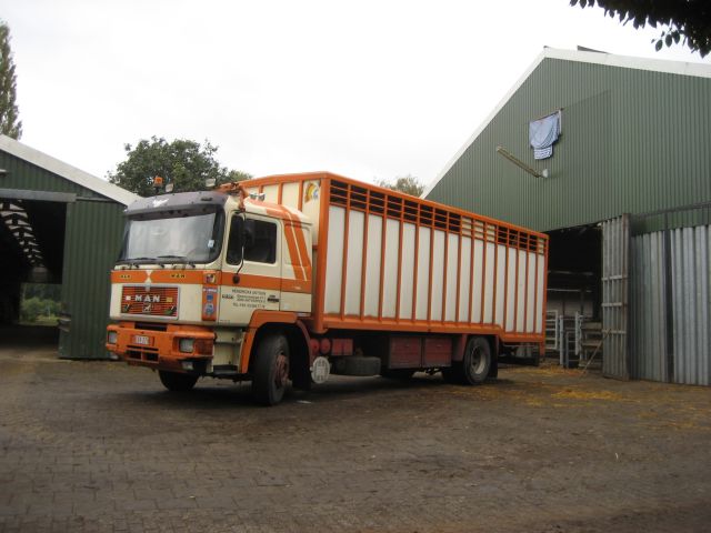 Geveilde BAC-stieren naar het buitenland