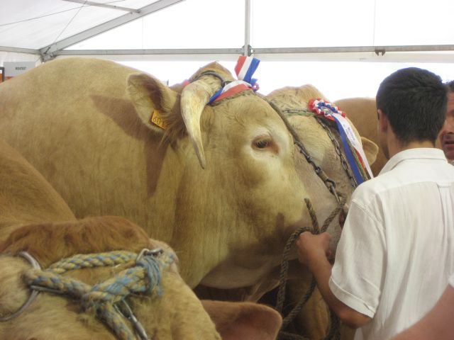 Voorbereidingen NVM Zwolle liggen op koers