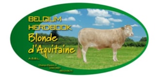 Belgisch Blonde d’Aquitaine stamboek