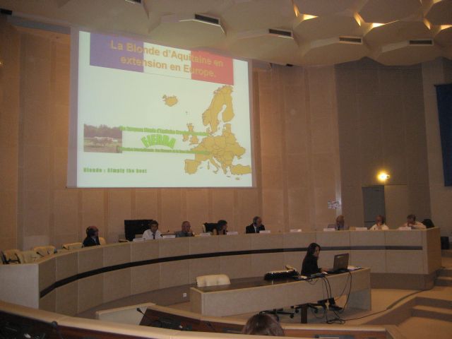 Felicitaties voor het jubilerende Franse Blonde d’Aquitainestamboek