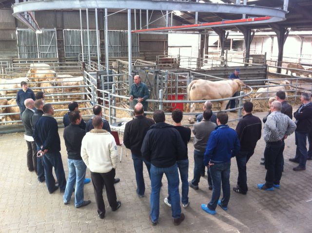 Bedrijfsadviseurs van DLV bezoeken COT