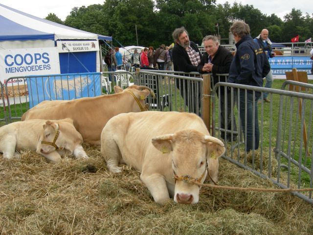 Wat zijn ze mooi...!