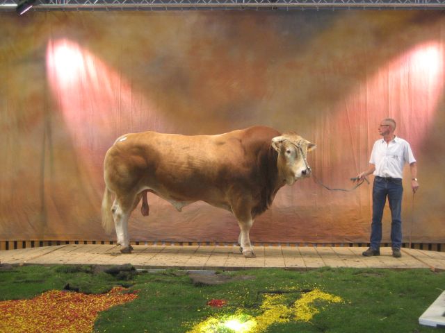 Prix Qualités Bouchères Male voor Disco