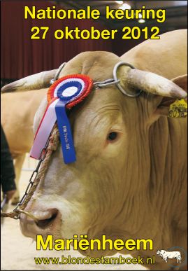 Uw Blonde d’Aquitaine op de foto