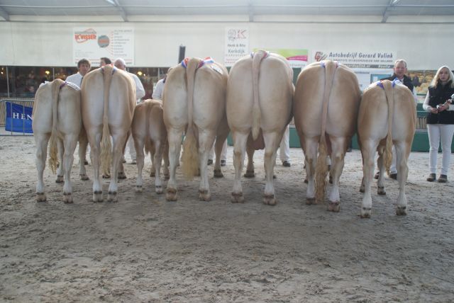 Nationale keuring met een feestelijk tintje