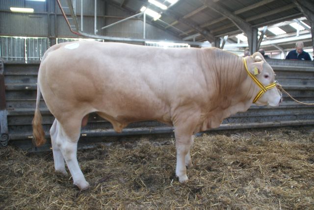 Rectificatie BAC Gaston