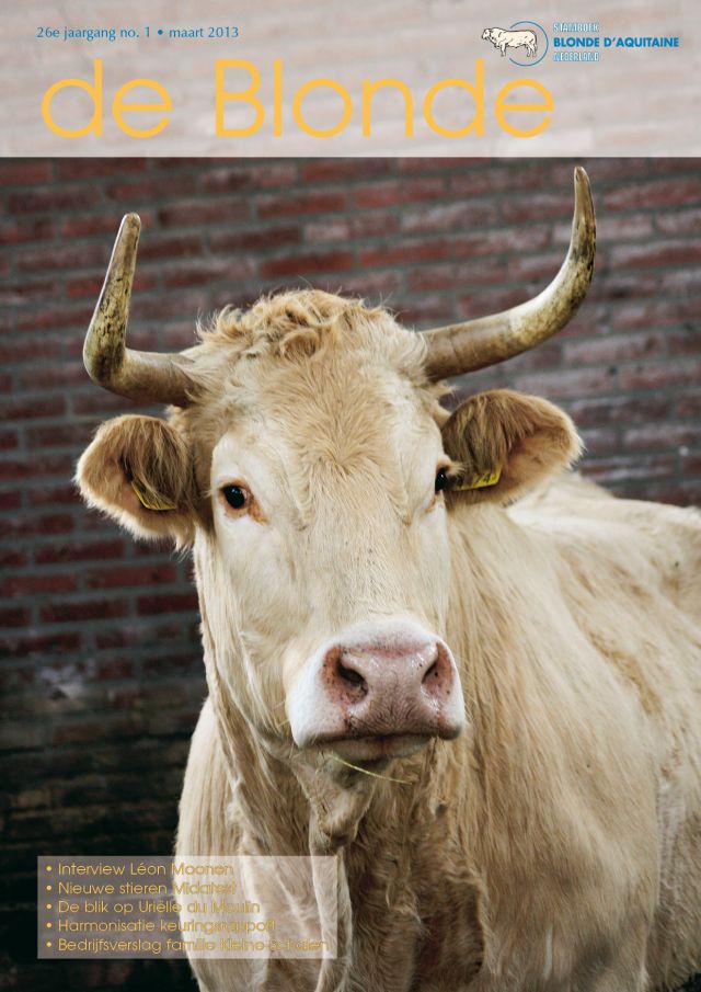 Binnenkort de Blonde maart 2013 in de bus