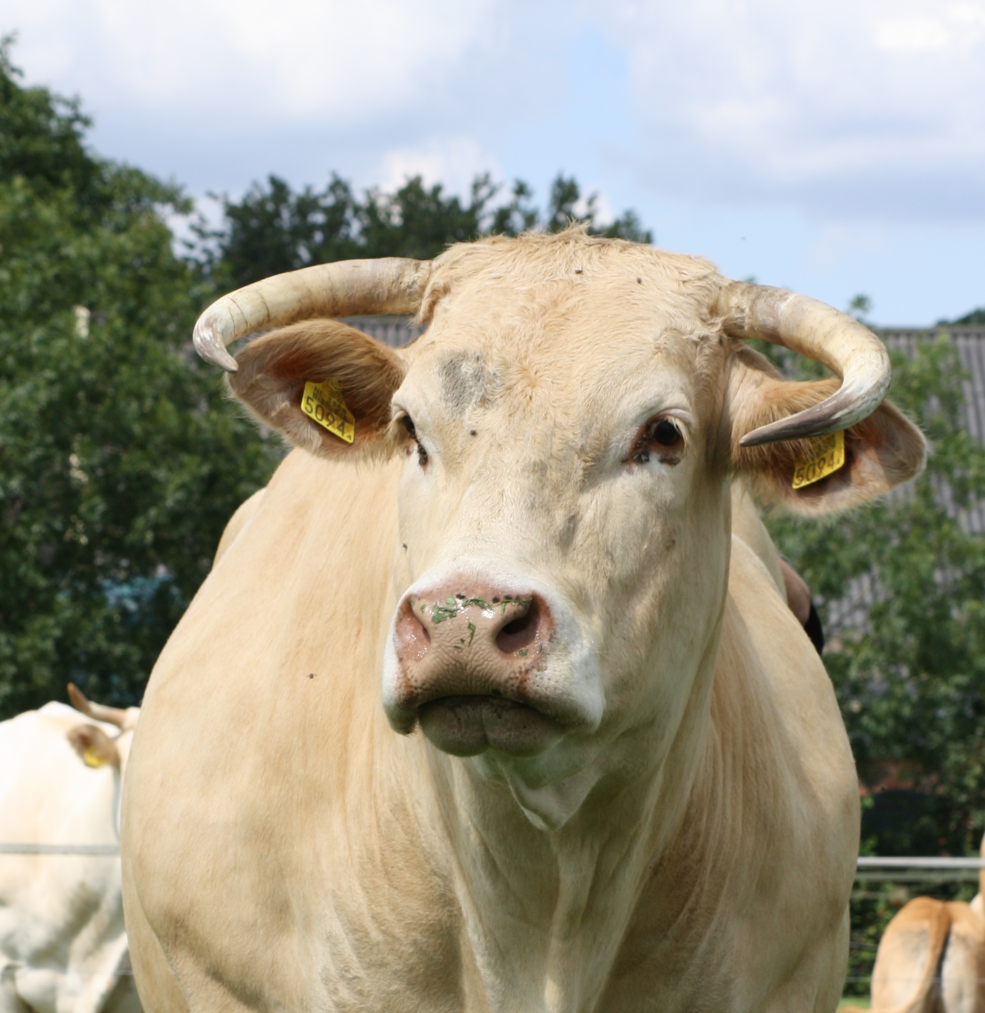 Cursus Jong Blond van start