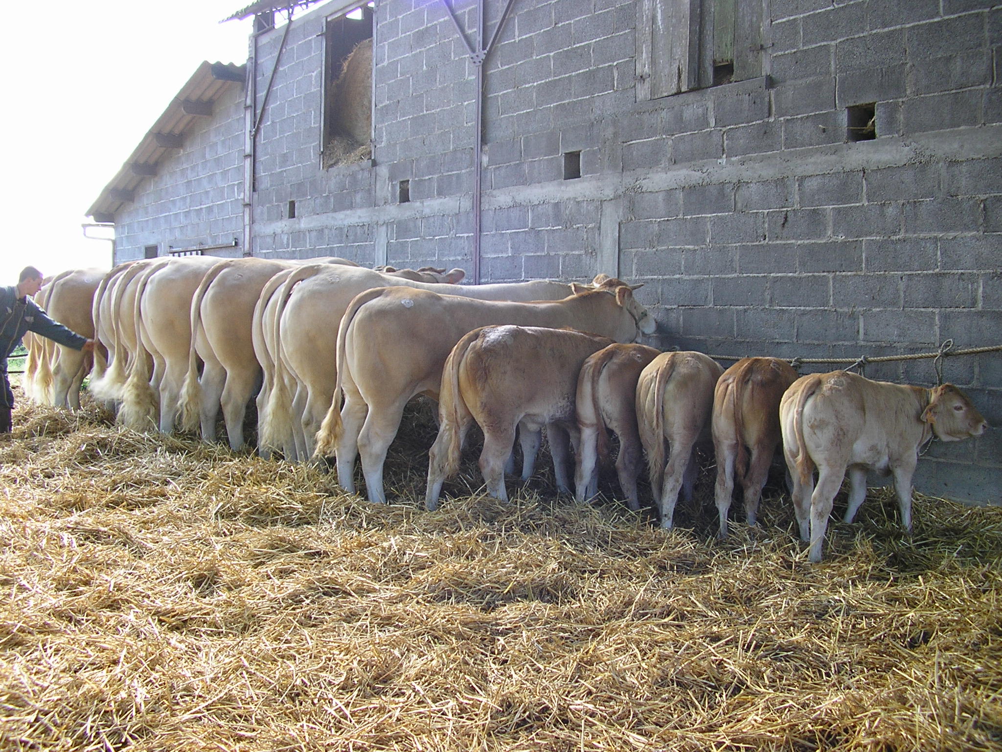 Excursie naar de top van het ras