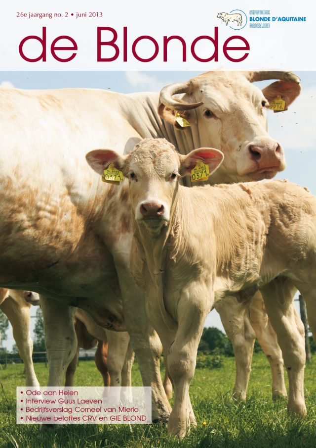 Deze week de Blonde in de bus