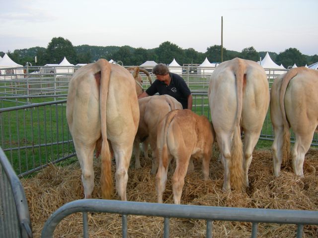 Blondes op Farm & Country Fair