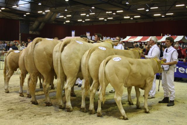 Definitieve aftrap NVM 2013