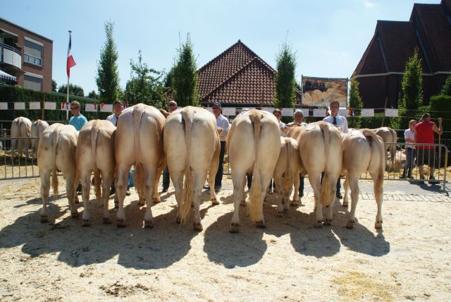 Nog meer keuring Enter