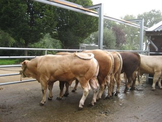 klaar voor de wasbeurt