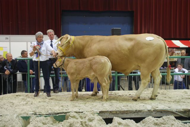 Nationale keuring op zeer goed bezochte NVM