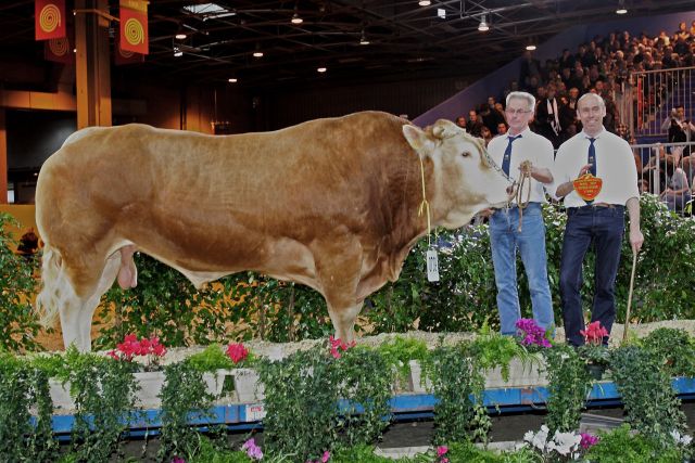 Twee fokproducten van Ton Hartman en Peter Thissen naar de SIA in Parijs