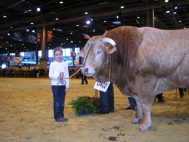 Keuring SIA rechtstreeks te volgen