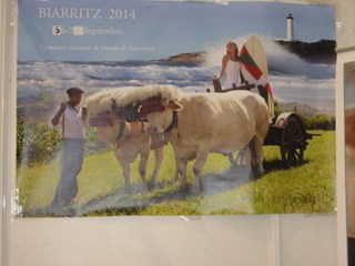 Blondes in Biarritz
