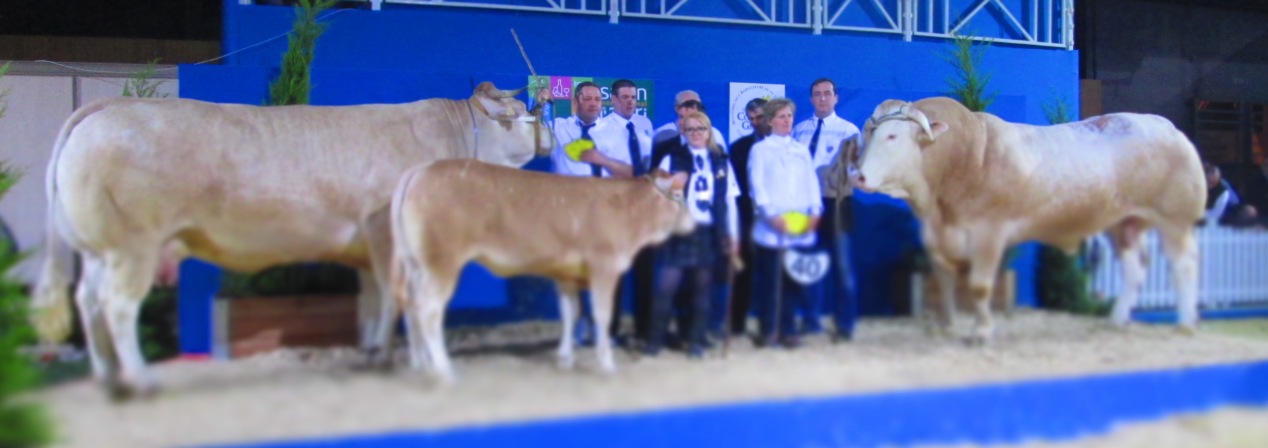 Carmen en Gala nieuwe kampioenen op de SIA in Parijs