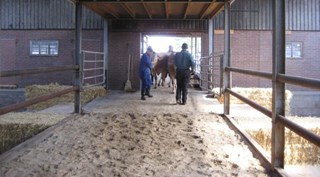 nu nog even over ’de catwalk’