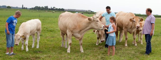 De genomineerden zijn...