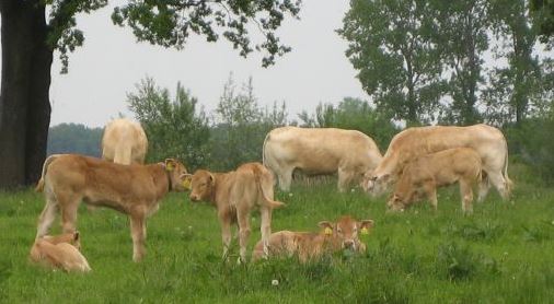 Gastsprekers algemene ledenvergadering 16 april