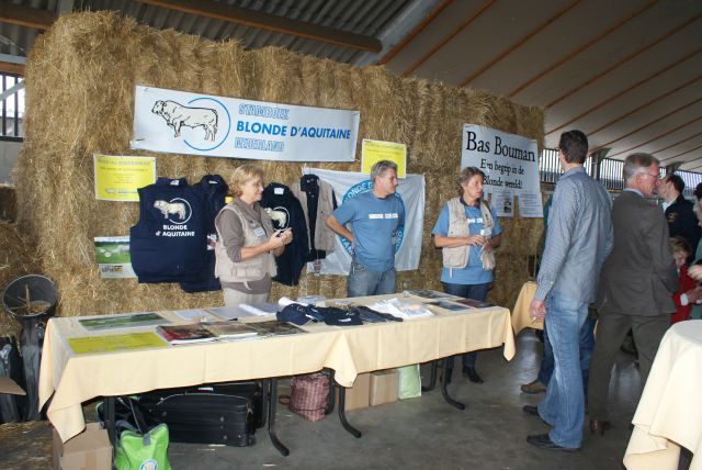 Promotie voor uw bedrijf