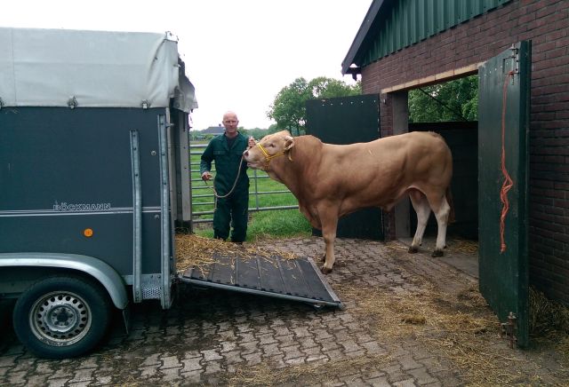 BAC Ingmar naar nieuwe eigenaar