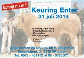 Kom met veel Blondes naar Enter!