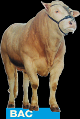 Belangrijke aanpassing bij het aanmelden voor het COT