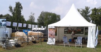 met fraaie pagode tent
