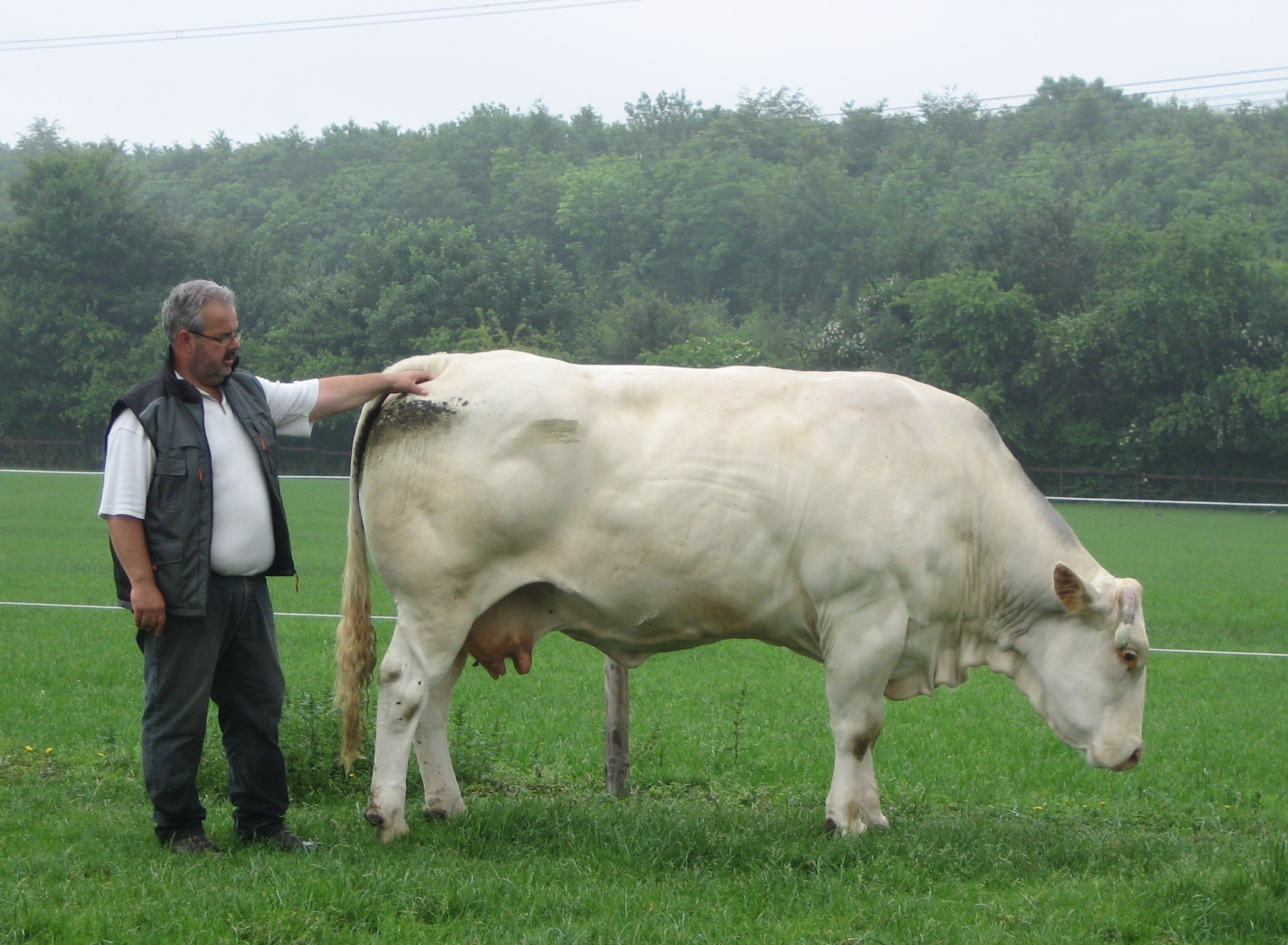 Koffie en koeien kijken bij Georg en Leonie Kellerwessel