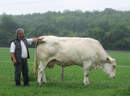 Georg Kellerwessel