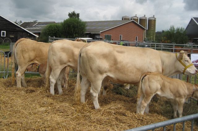 Bijzonder bezoek op de Fair