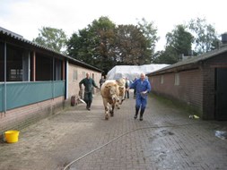 op naar de douche