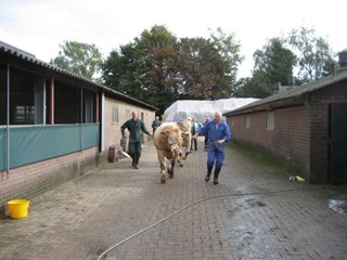 op naar de douche