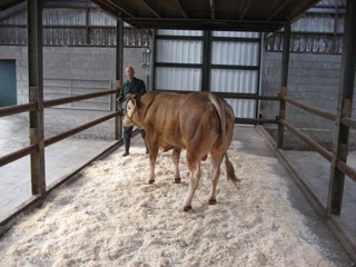 oefenrondje catwalk