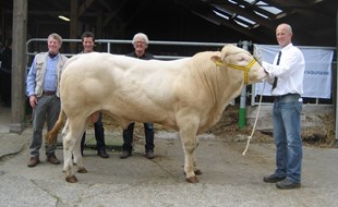 BAC Ibis Met fokkers fam. Wiekema (l) en nieuwe eigenaar Henk Spaansen (r).