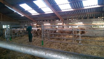 nog maar net gearriveerd op het COT